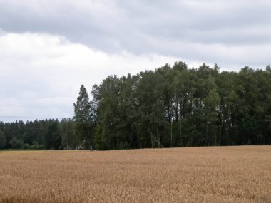 Kashubia 'da hava bulutlu. Gelen yağmur.