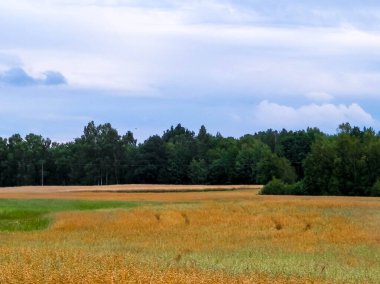 Kashubia 'da hava bulutlu. Gelen yağmur.