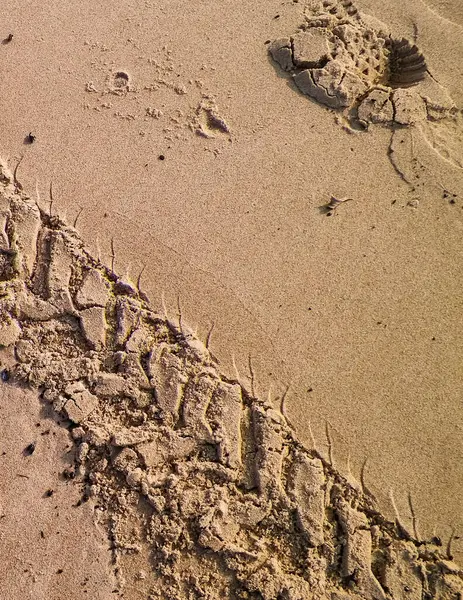 Çölün veya kumsalın üzerindeki lastik izleri. Doğal arka plan. Offroad ve seyahat kavramı.