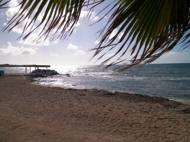 Paphos City yakınlarındaki tropik plaj, Kıbrıs adası. Boşluğu mavi gökyüzünde kopyala - bir kartpostal için iyi bir arkaplan.