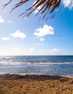Paphos City yakınlarındaki tropik plaj, Kıbrıs adası. Boşluğu mavi gökyüzünde kopyala - bir kartpostal için iyi bir arkaplan.