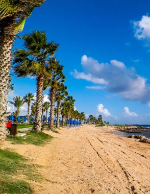Kıbrıs adasındaki Paphos 'ta park alanı ve plaj. Egzotik iklim ve seyahat kavramı.