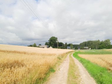 Kashubia 'daki çayır üzerinde kara bulutlar. Yağmurlu hava geliyor. Kuzey Polonya 'nın güzel doğası.