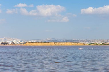 Larnaka Gölü, Kıbrıs. Larnaka yakınlarındaki Salt Gölü 'nde. Flamingo kuşlarının doğal yaşam alanı.
