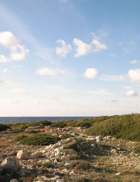 Kıbrıs Rum Kesimi 'nin Coral Bay yakınlarındaki kıyı bölgesinde. Saf doğa..