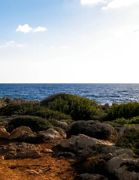 Kıbrıs Rum Kesimi 'nin Coral Bay yakınlarındaki kıyı bölgesinde. Saf doğa..