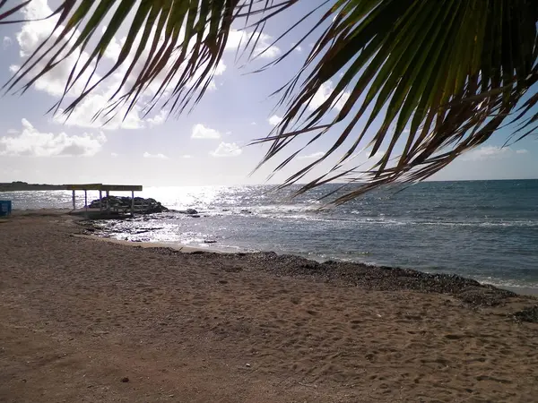 Paphos City yakınlarındaki tropik plaj, Kıbrıs adası. Boşluğu mavi gökyüzünde kopyala - bir kartpostal için iyi bir arkaplan.