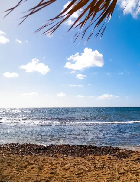 Paphos City yakınlarındaki tropik plaj, Kıbrıs adası. Boşluğu mavi gökyüzünde kopyala - bir kartpostal için iyi bir arkaplan.