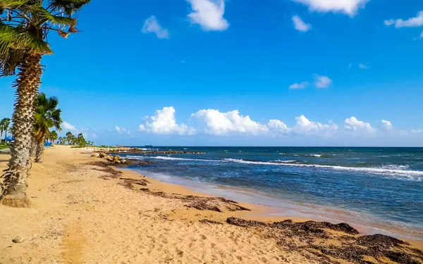 Paphos City yakınlarındaki tropik plaj, Kıbrıs adası. Boşluğu mavi gökyüzünde kopyala - bir kartpostal için iyi bir arkaplan.