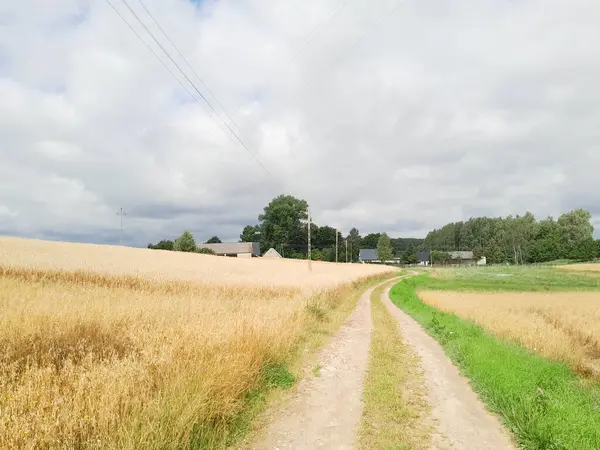 Kashubia 'daki çayır üzerinde kara bulutlar. Yağmurlu hava geliyor. Kuzey Polonya 'nın güzel doğası.