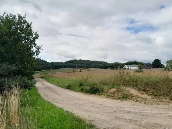 Kashubia 'daki tarlaların üzerindeki kara bulutlar. Yağmur yağacak. Kuzey Polonya 'nın güzel doğası.
