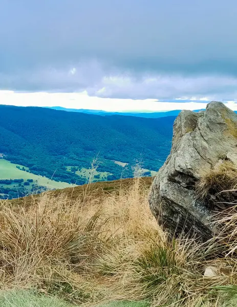 Dağın tepesinden Karpatların güzel manzarası. Doğanın güzelliği.