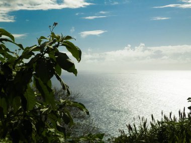 Sao Miguel 'in egzotik adası Azores' ten Atlantik deniz ufku. Boşluğu kopyala.
