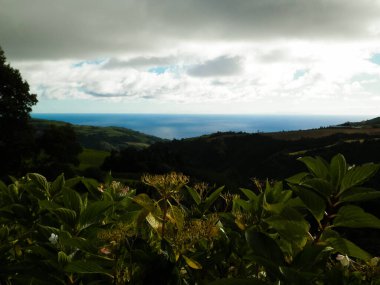 Tipik Azores manzarası. Arka planda doğal yeşil arazi tepeleri ve deniz. Doğanın güzelliği konsepti.