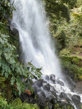 Azores 'de inanılmaz bir şelale. Sao Miguel Adası. Doğanın güzelliği.