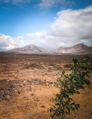 Çöl ve dağlar Lanzarote adasının tipik bir manzarasıdır. Kanarya Adaları takımadaları.