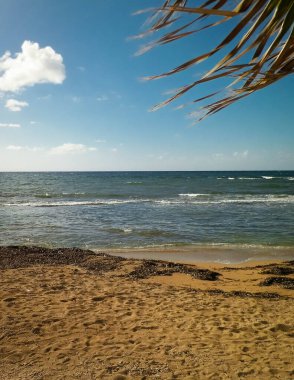 Paphos City yakınlarındaki tropik plaj, Kıbrıs adası. Boşluğu mavi gökyüzünde kopyala - bir kartpostal için iyi bir arkaplan.