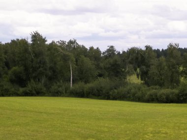Tarlalar, tepeler ve çayırlar. Polonya 'daki Kazhubia' nın tipik labirentleri. Doğanın güzelliği.