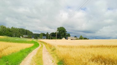 Kashubia 'daki çayır üzerinde kara bulutlar. Yağmurlu hava geliyor. Kuzey Polonya 'nın güzel doğası.