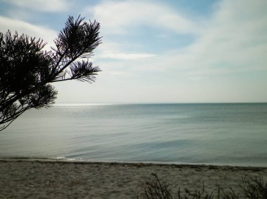 Hel Peninsula 'dan Baltık deniz kıyıları - Hel şehrine yakın plaj. Baltık Denizi ve Gdansk Körfezi 'nin güzel doğası. Seyahat ve doğa kavramı.