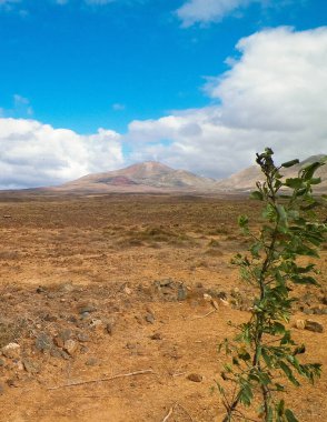 Çöl ve dağlar Lanzarote adasının tipik bir manzarasıdır. Kanarya Adaları takımadaları.