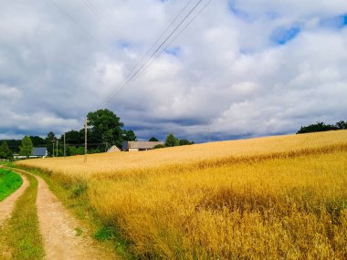 Kashubia 'daki çayır üzerinde kara bulutlar. Yağmurlu hava geliyor. Kuzey Polonya 'nın güzel doğası.