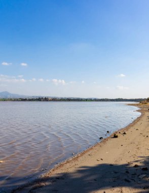 Larnaka Gölü, Kıbrıs. Larnaka yakınlarındaki Salt Gölü 'nde. Flamingo kuşlarının doğal yaşam alanı.