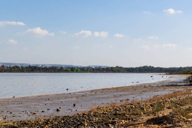 Tuz Gölü kıyısında Larnaka Gölü. Kıbrıs Adası. Kirişin doğası.
