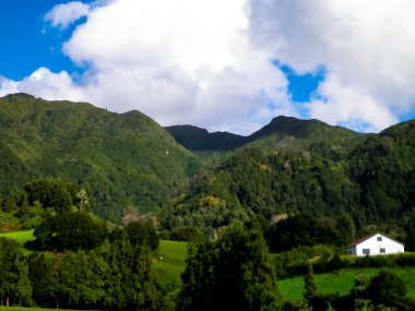 Sao Miguel Adası 'nda dağın tepesinde. Azores. Doğanın güzelliği.