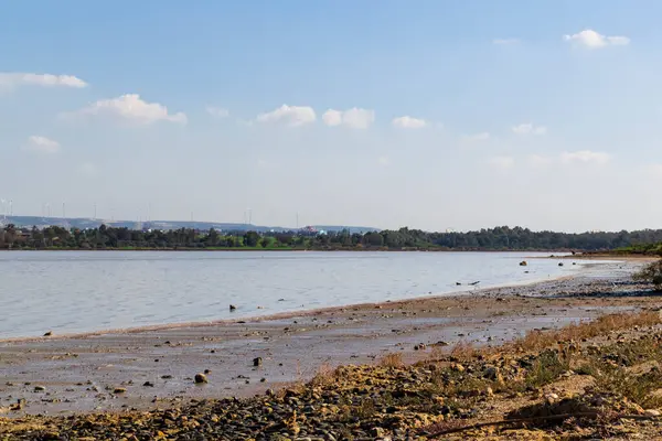 Tuz Gölü kıyısında Larnaka Gölü. Kıbrıs Adası. Kirişin doğası.