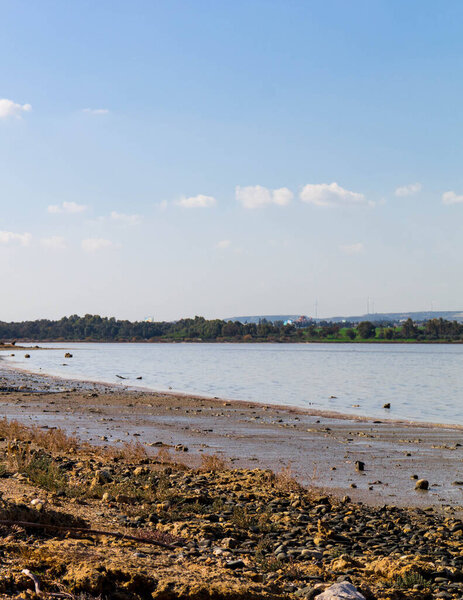 Берег соленого озера Ларнака. Кипр. Природа Кипра.