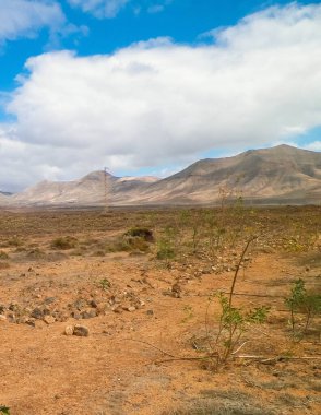 Lanzarote Adası 'nda çöl. Kanarya takımadalarının saf doğası.