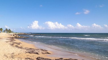 Kıbrıs adası Paphos City yakınlarındaki tropik palmiye, sahil ve Akdeniz manzarası. Seyahat kavramı.