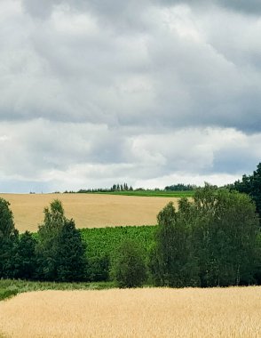 Kashubia 'daki tarlaların üzerindeki kara bulutlar. Yağmur yağacak. Kuzey Polonya 'nın güzel doğası.