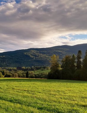 Polonya 'nın Bieszczady Dağları' ndaki yeşil çayır. Kuzey Karpatça.