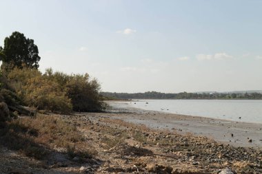 Tuz Gölü kıyısında Larnaka Gölü. Kıbrıs Adası. Kirişin doğası.