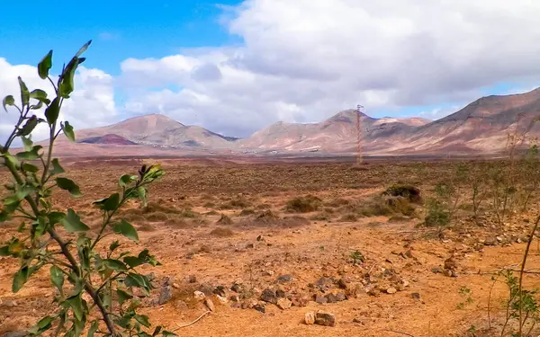 Lanzarote Adası 'nda çöl. Kanarya takımadalarının saf doğası.