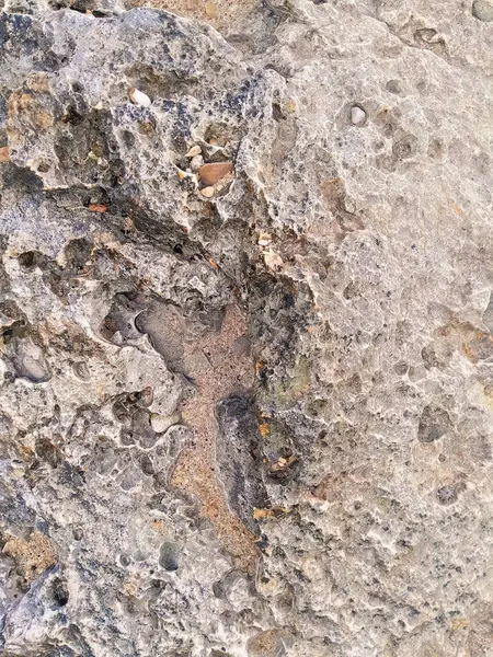 Doğal bir arka plan olarak kıyı kayaları ve deniz suyu. Boşluğu kopyala.