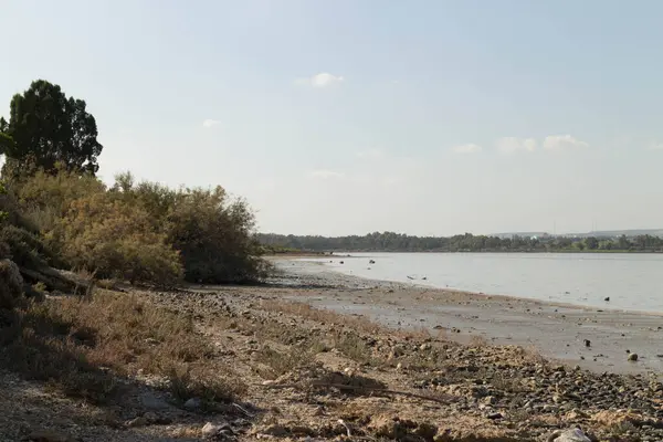 Tuz Gölü kıyısında Larnaka Gölü. Kıbrıs Adası. Kirişin doğası.