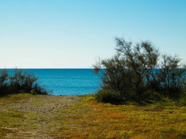 Akdeniz, doğa, Vada şehrine yakın. Mavi gökyüzü arka planında Tyrhenian deniz kıyısı. Tatiller ve doğa konsepti. Boşluğu mavi gökyüzünde kopyala.