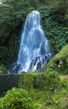 Sao Miguel 'de güzel bir şelale. Doğanın güzelliği.