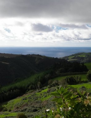 Tipik Azores manzarası. Arka planda doğal yeşil arazi tepeleri ve deniz. Doğanın güzelliği konsepti.