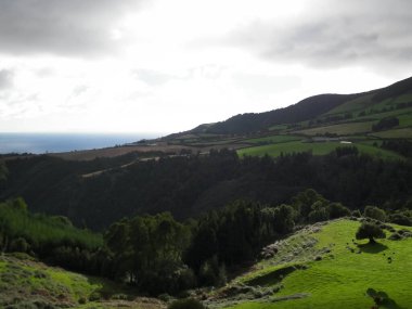 Tipik Azores manzarası. Arka planda doğal yeşil arazi tepeleri ve deniz. Doğanın güzelliği konsepti.