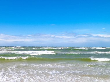 Baltık Denizi. Boşluğu mavi gökyüzünde kopyala.