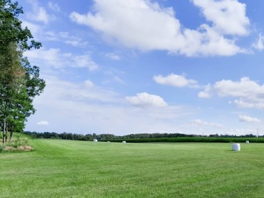 Tarladaki saman demetleri. Kashubia 'da tarım Kuzey Polonya' da.