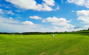 Tarladaki saman demetleri. Kashubia 'da tarım Kuzey Polonya' da.