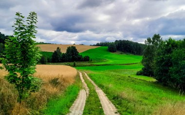 Kashubia 'daki çayır üzerinde kara bulutlar. Yağmurlu hava geliyor. Kuzey Polonya 'nın güzel doğası.