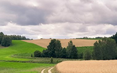 Kashubia 'daki tarlaların üzerindeki kara bulutlar. Yağmur yağacak. Kuzey Polonya 'nın güzel doğası.