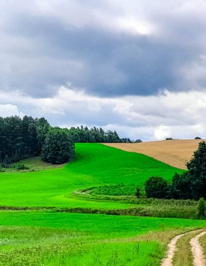Kashubia 'daki tarlaların üzerindeki kara bulutlar. Yağmur yağacak. Kuzey Polonya 'nın güzel doğası.