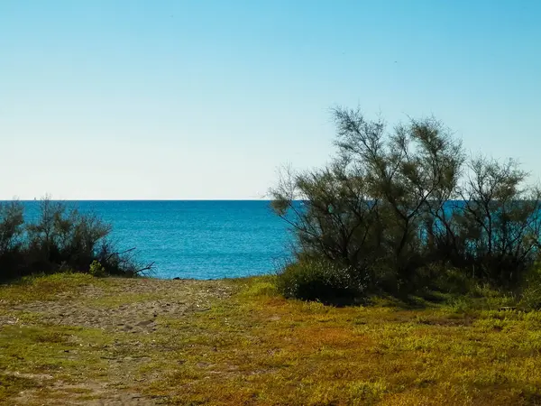 Akdeniz, doğa, Vada şehrine yakın. Mavi gökyüzü arka planında Tyrhenian deniz kıyısı. Tatiller ve doğa konsepti. Boşluğu mavi gökyüzünde kopyala.